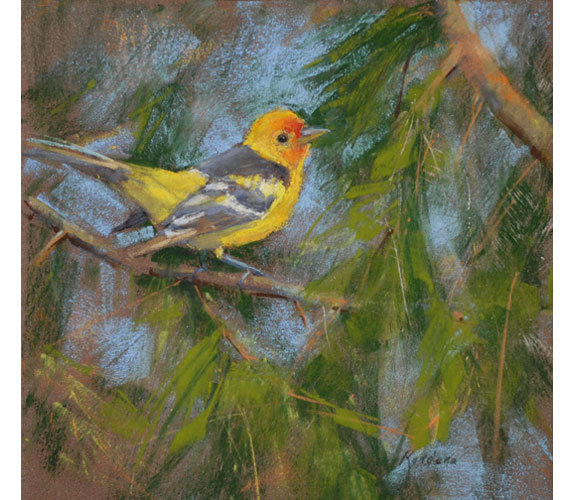 Randena Walsh "Western Tanager"